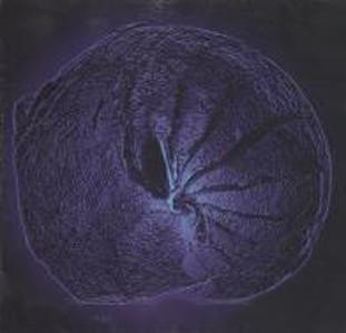 Nebula , Genesis-CD, CDs, Historia Nuestra