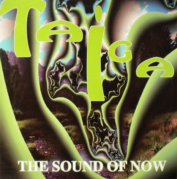 Taiga The Sound Of Now-12, Vinilos, Historia Nuestra