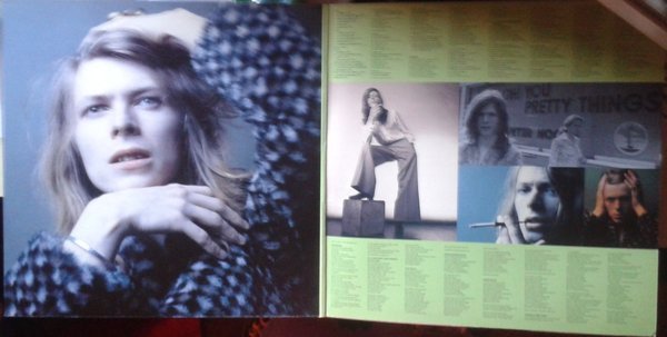 David Bowie, Hunky Dory-LP, Vinilos, Historia Nuestra