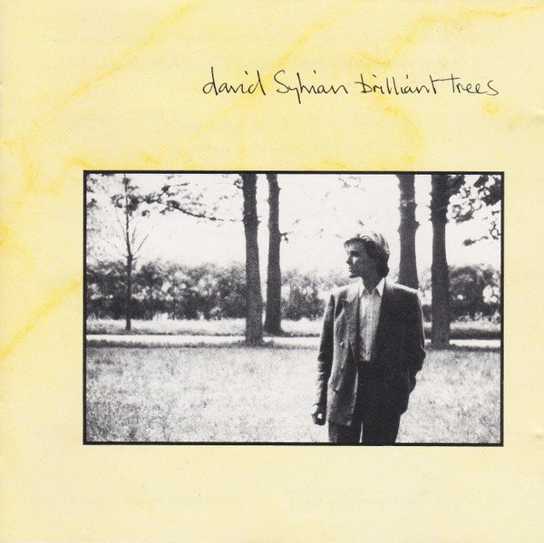 David Sylvian, Brilliant Trees-CD, CDs, Historia Nuestra
