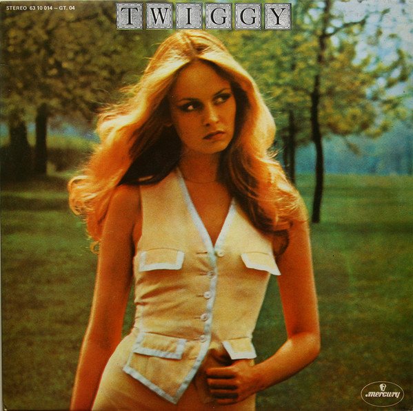 Twiggy Twiggy-LP, Vinilos, Historia Nuestra