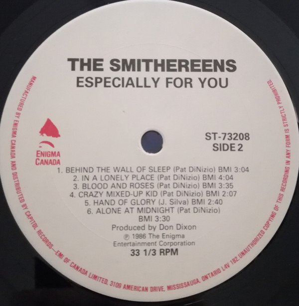 The Smithereens Especially For You-LP, Vinilos, Historia Nuestra