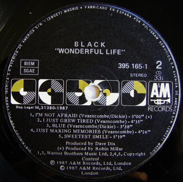 Black , Wonderful Life-LP, Vinilos, Historia Nuestra