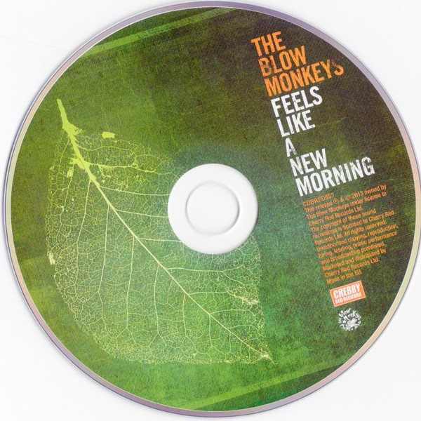 The Blow Monkeys, Feels Like A New Morning-CD, CDs, Historia Nuestra