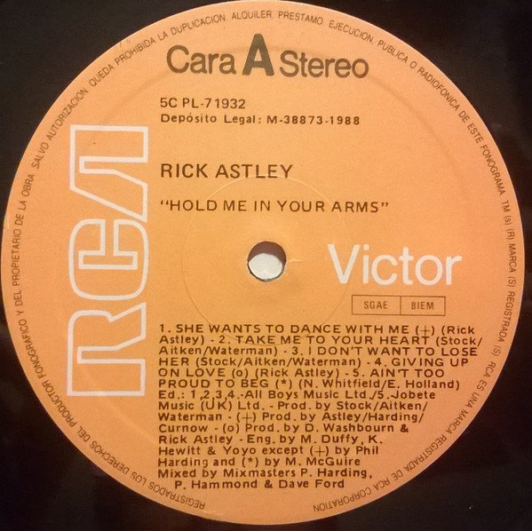 Rick Astley Hold Me In Your Arms-LP, Vinilos, Historia Nuestra