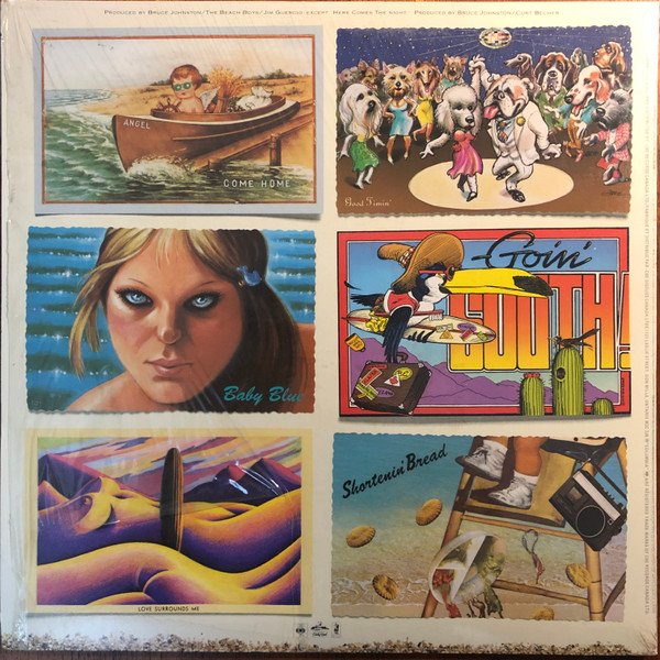 The Beach Boys, LA (Light Album)-LP, Vinilos, Historia Nuestra