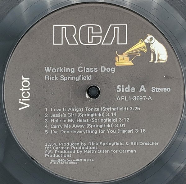 Rick Springfield Working Class Dog-LP, Vinilos, Historia Nuestra