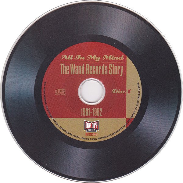 Various All In My Mind - The Wand Records Story 1961-1962-2xCD, CDs, Historia Nuestra