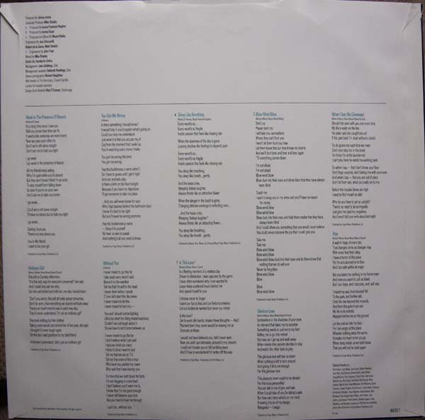 Alison Moyet, Raindancing-LP, Vinilos, Historia Nuestra