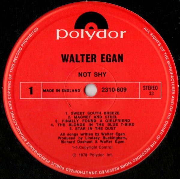 Walter Egan Not Shy Vinyl, LP, Vinilos, Historia Nuestra