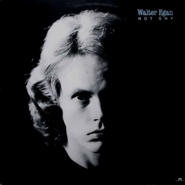 Walter Egan Not Shy Vinyl, LP, Vinilos, Historia Nuestra