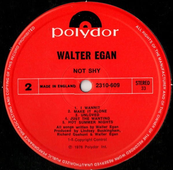 Walter Egan Not Shy Vinyl, LP, Vinilos, Historia Nuestra