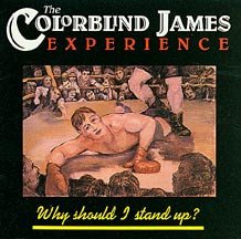 The Colorblind James Experience Why Should I Stand Up?-LP, Vinilos, Historia Nuestra