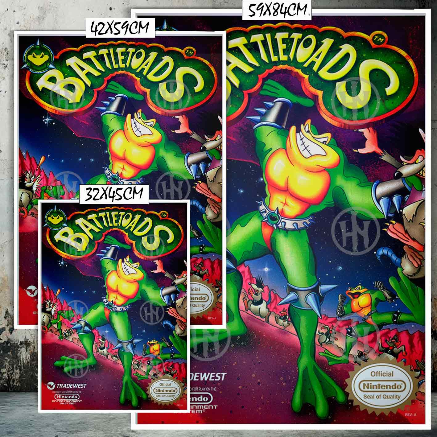 Battletoads-El Póster Personalizado Para Tu Espacio, Videojuegos, Historia Nuestra Hanna Poster Castle Rock de Historia Nuestra, Battletoads-El Póster Personalizado, Historia Nuestra