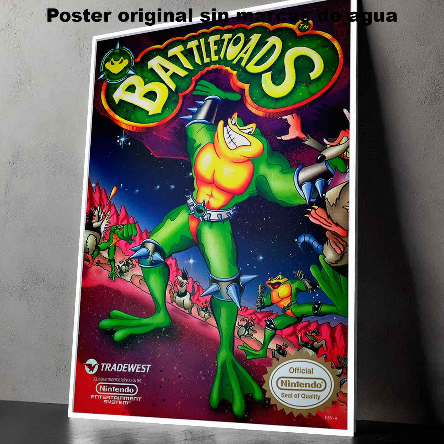 Battletoads-El Póster Personalizado Para Tu Espacio, Videojuegos, Historia Nuestra Hanna Poster Castle Rock de Historia Nuestra, Battletoads-El Póster Personalizado, Historia Nuestra