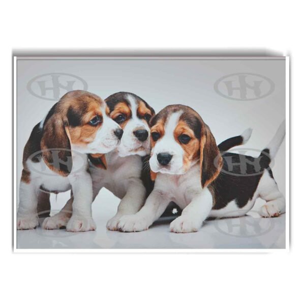 Póster, Póster Animales, Poster Beagle, Poster MascotasPosters Historia Nuestra | Historia Nuestra