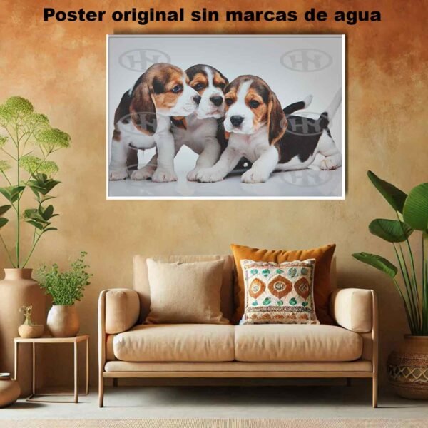 Beagle Animales Mascotas, Beagle, Historia Nuestra