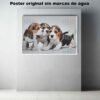 Beagle Animales Mascotas, Beagle, Historia Nuestra