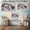 Beagle Animales Mascotas, Beagle, Historia Nuestra