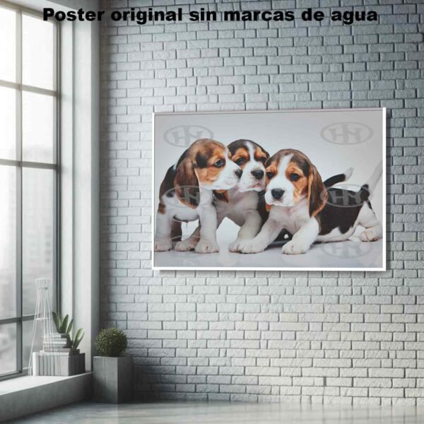 Beagle Animales Mascotas, Beagle, Historia Nuestra