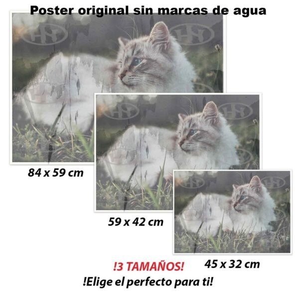 Birmano Animales Mascotas, Birmano-El Póster Personalizado, Historia Nuestra