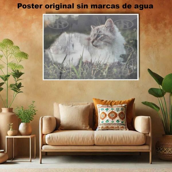 Birmano Animales Mascotas, Birmano-El Póster Personalizado, Historia Nuestra