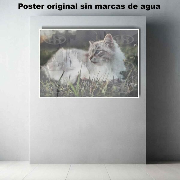 Birmano Animales Mascotas, Birmano-El Póster Personalizado, Historia Nuestra