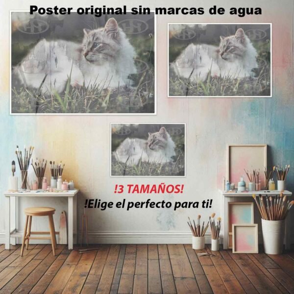 Birmano Animales Mascotas, Birmano-El Póster Personalizado, Historia Nuestra