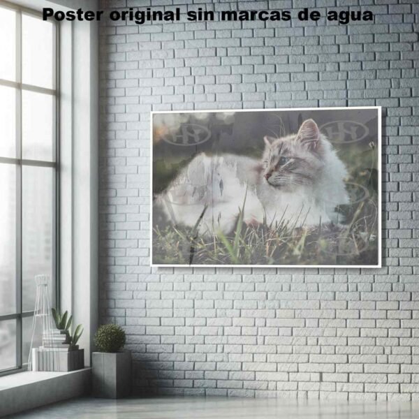 Birmano Animales Mascotas, Birmano-El Póster Personalizado, Historia Nuestra