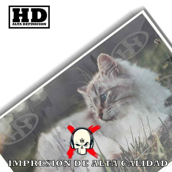 Birmano Animales Mascotas, Birmano-El Póster Personalizado, Historia Nuestra