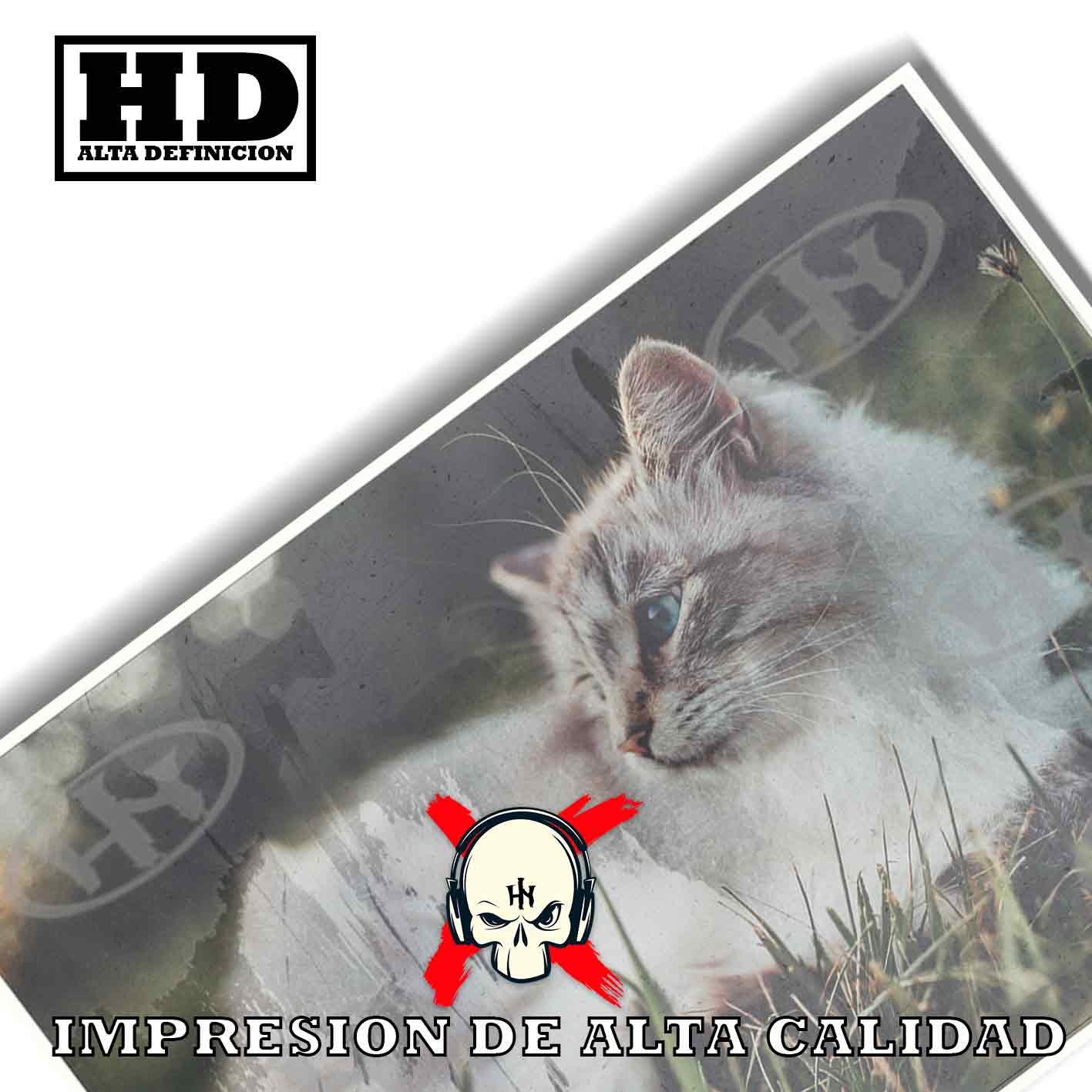 Birmano-El Póster Personalizado Para Tu Espacio, Animales, Historia Nuestra Birmano Animales Mascotas, Birmano-El Póster Personalizado, Historia Nuestra