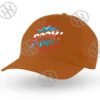 Boom Gorra panels de Historia Nuestra, , Historia Nuestra