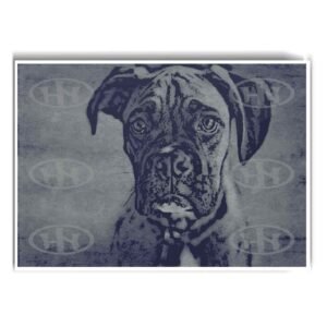 Póster, Póster Animales, Poster Boxer, Poster MascotasPosters Historia Nuestra | Historia Nuestra