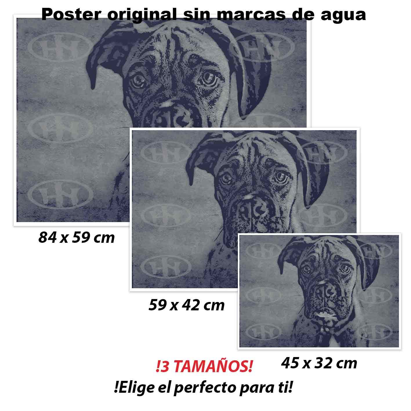 Boxer-El Póster Personalizado Para Tu Espacio, Animales, Historia Nuestra Boxer Animales Mascotas, Boxer-El Póster Personalizado, Historia Nuestra