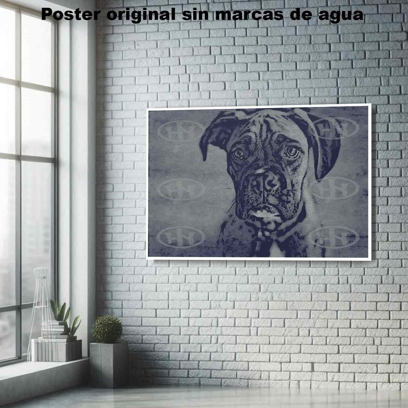 Boxer-El Póster Personalizado Para Tu Espacio, Animales, Historia Nuestra Boxer Animales Mascotas, Boxer-El Póster Personalizado, Historia Nuestra