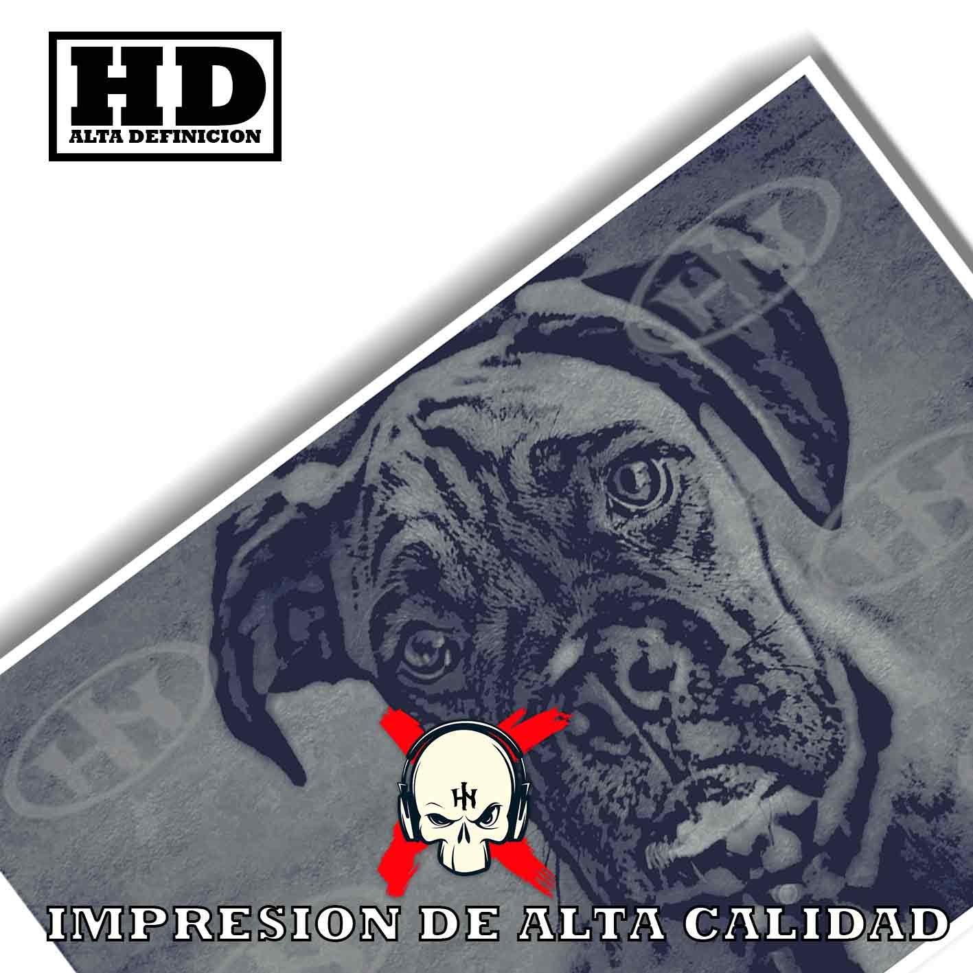 Boxer-El Póster Personalizado Para Tu Espacio, Animales, Historia Nuestra Boxer Animales Mascotas, Boxer-El Póster Personalizado, Historia Nuestra