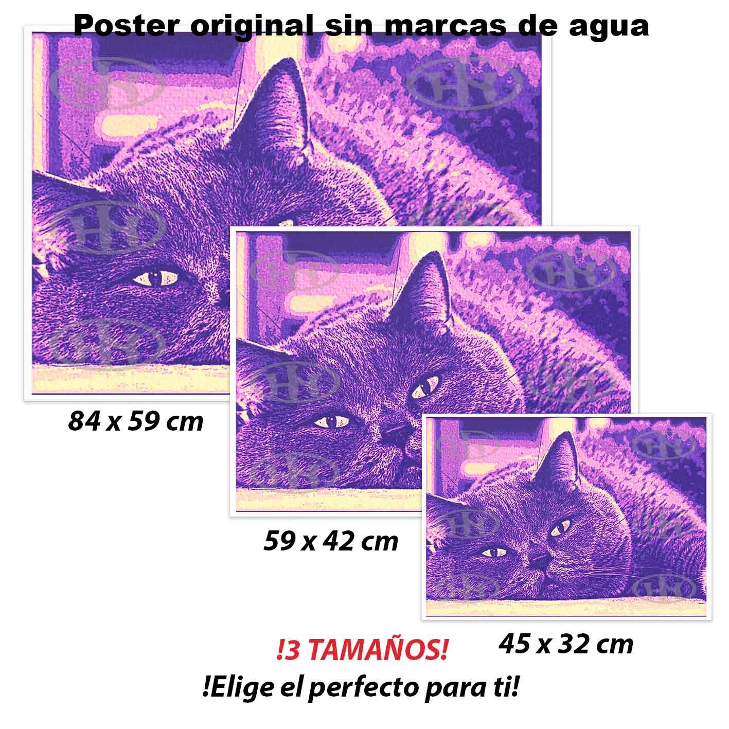 British Shorthair Animales Mascotas, British Shorthair-El Póster Personalizado, Historia Nuestra