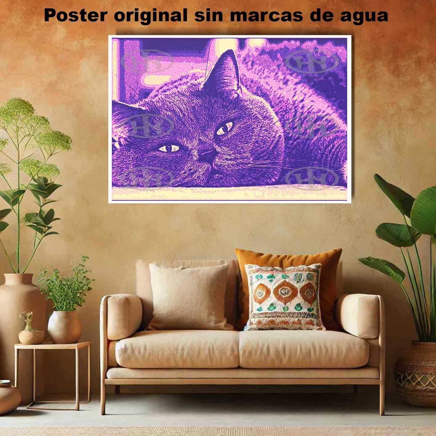 British Shorthair Animales Mascotas, British Shorthair-El Póster Personalizado, Historia Nuestra