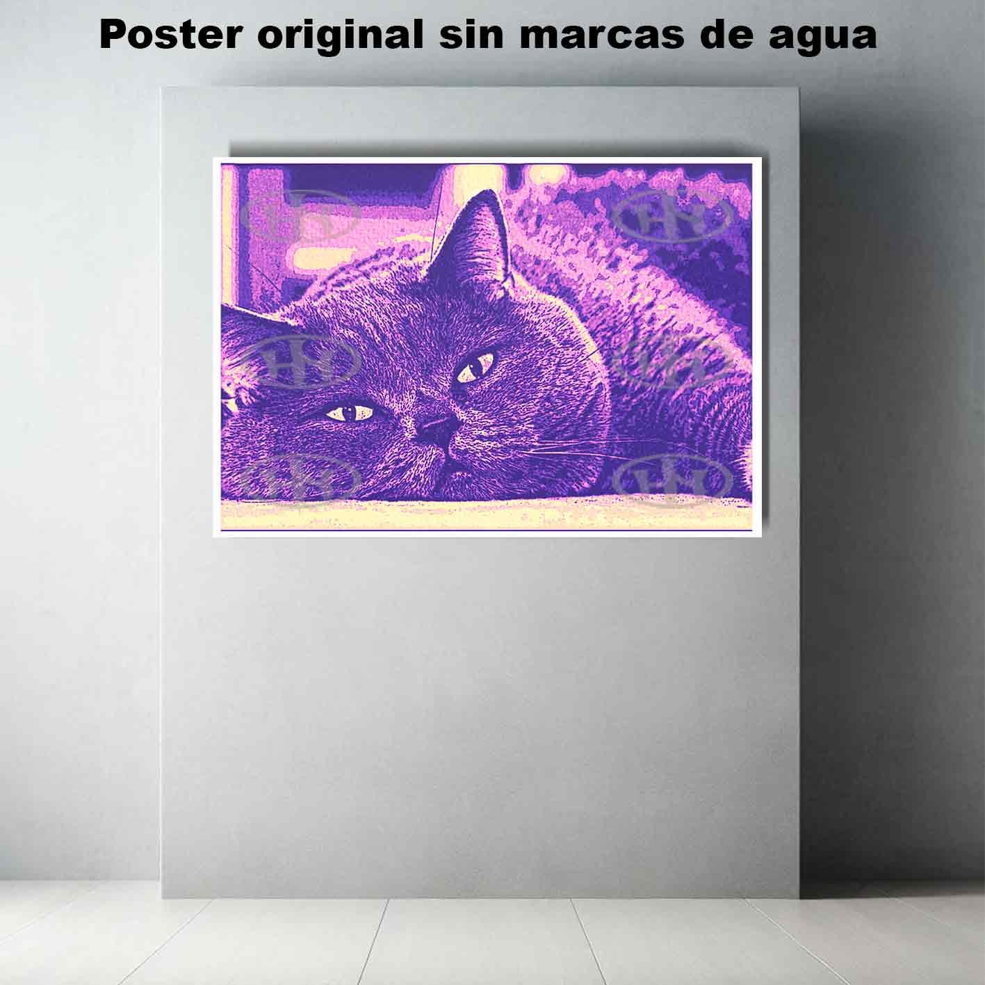 British Shorthair Animales Mascotas, British Shorthair-El Póster Personalizado, Historia Nuestra