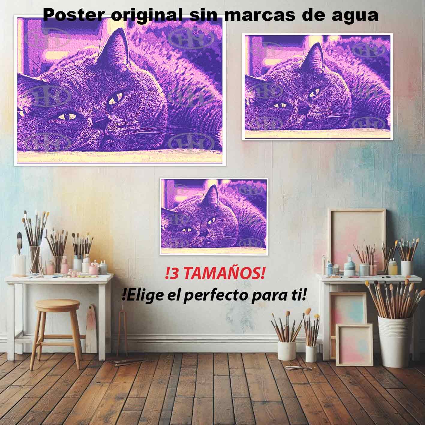 British Shorthair Animales Mascotas, British Shorthair-El Póster Personalizado, Historia Nuestra