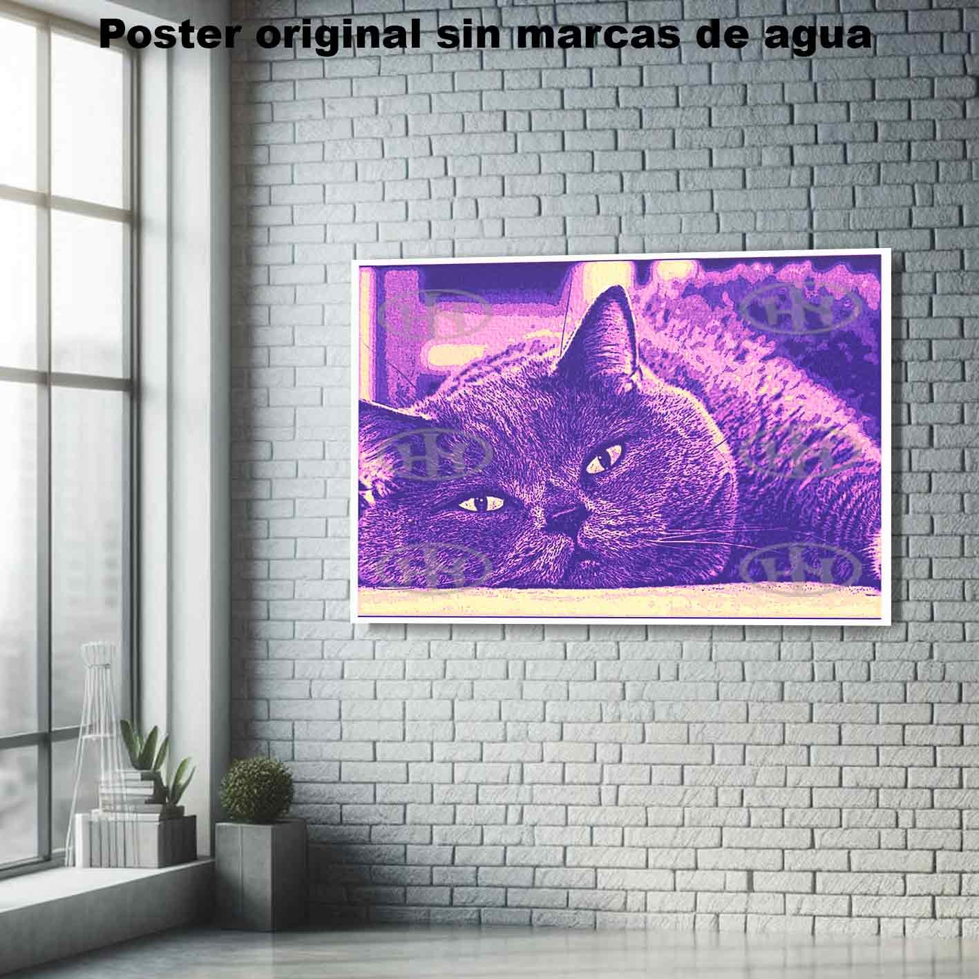 British Shorthair Animales Mascotas, British Shorthair-El Póster Personalizado, Historia Nuestra