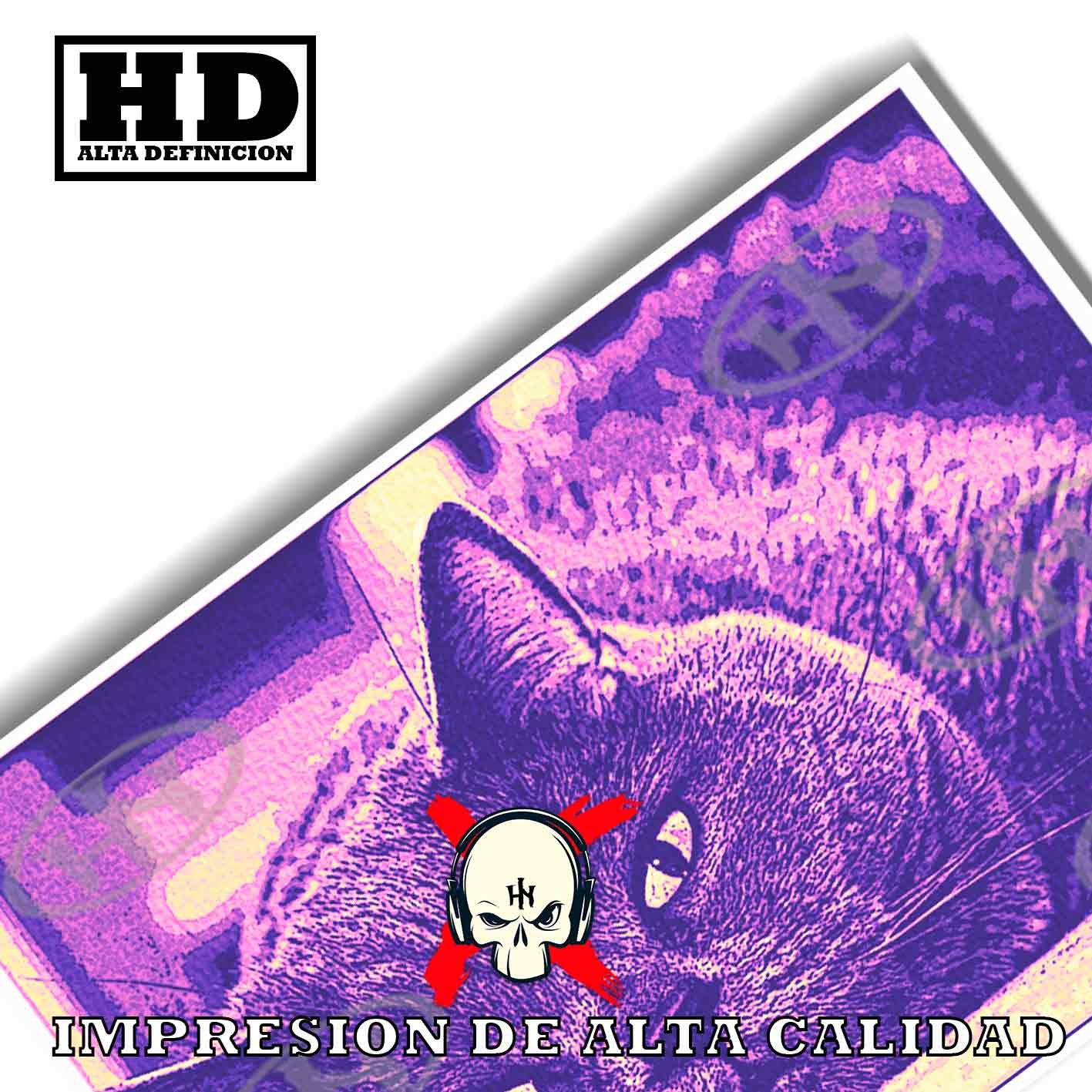 British Shorthair Animales Mascotas, British Shorthair-El Póster Personalizado, Historia Nuestra