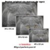 British Shorthair.-El Póster Personalizado Para Tu Espacio, Animales, Historia Nuestra British Shorthair Animales Mascotas, British Shorthair.-El Póster Personalizado, Historia Nuestra