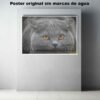 British Shorthair.-El Póster Personalizado Para Tu Espacio, Animales, Historia Nuestra British Shorthair Animales Mascotas, British Shorthair.-El Póster Personalizado, Historia Nuestra