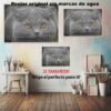 British Shorthair.-El Póster Personalizado Para Tu Espacio, Animales, Historia Nuestra British Shorthair Animales Mascotas, British Shorthair.-El Póster Personalizado, Historia Nuestra