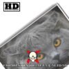 British Shorthair.-El Póster Personalizado Para Tu Espacio, Animales, Historia Nuestra British Shorthair Animales Mascotas, British Shorthair.-El Póster Personalizado, Historia Nuestra