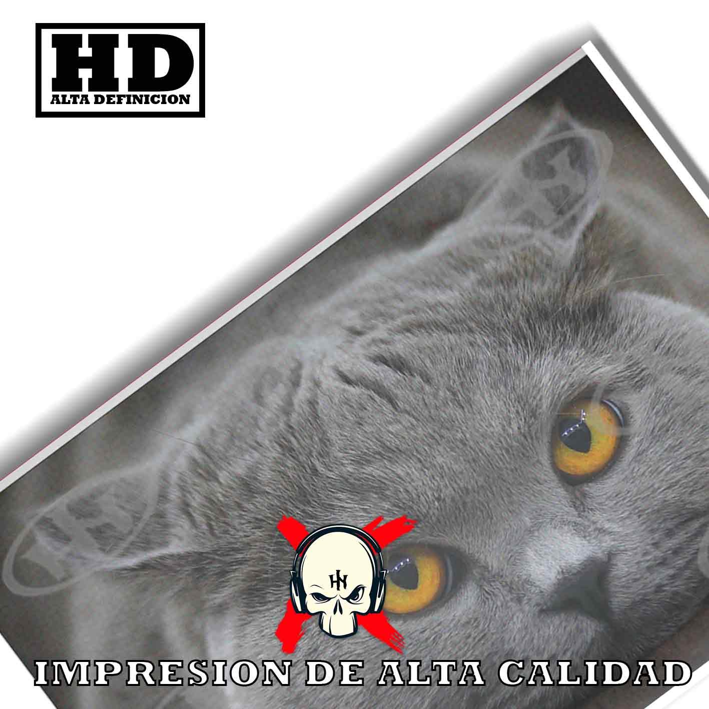 British Shorthair.-El Póster Personalizado Para Tu Espacio, Animales, Historia Nuestra British Shorthair Animales Mascotas, British Shorthair.-El Póster Personalizado, Historia Nuestra