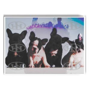 Póster, Póster Animales, Poster Bulldog francés, Poster MascotasPosters Historia Nuestra | Historia Nuestra