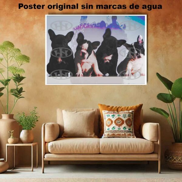 Bulldog frances Animales Mascotas, Bulldog francés-El Póster Personalizado, Historia Nuestra