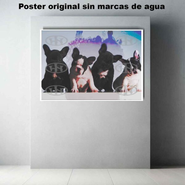 Bulldog frances Animales Mascotas, Bulldog francés-El Póster Personalizado, Historia Nuestra